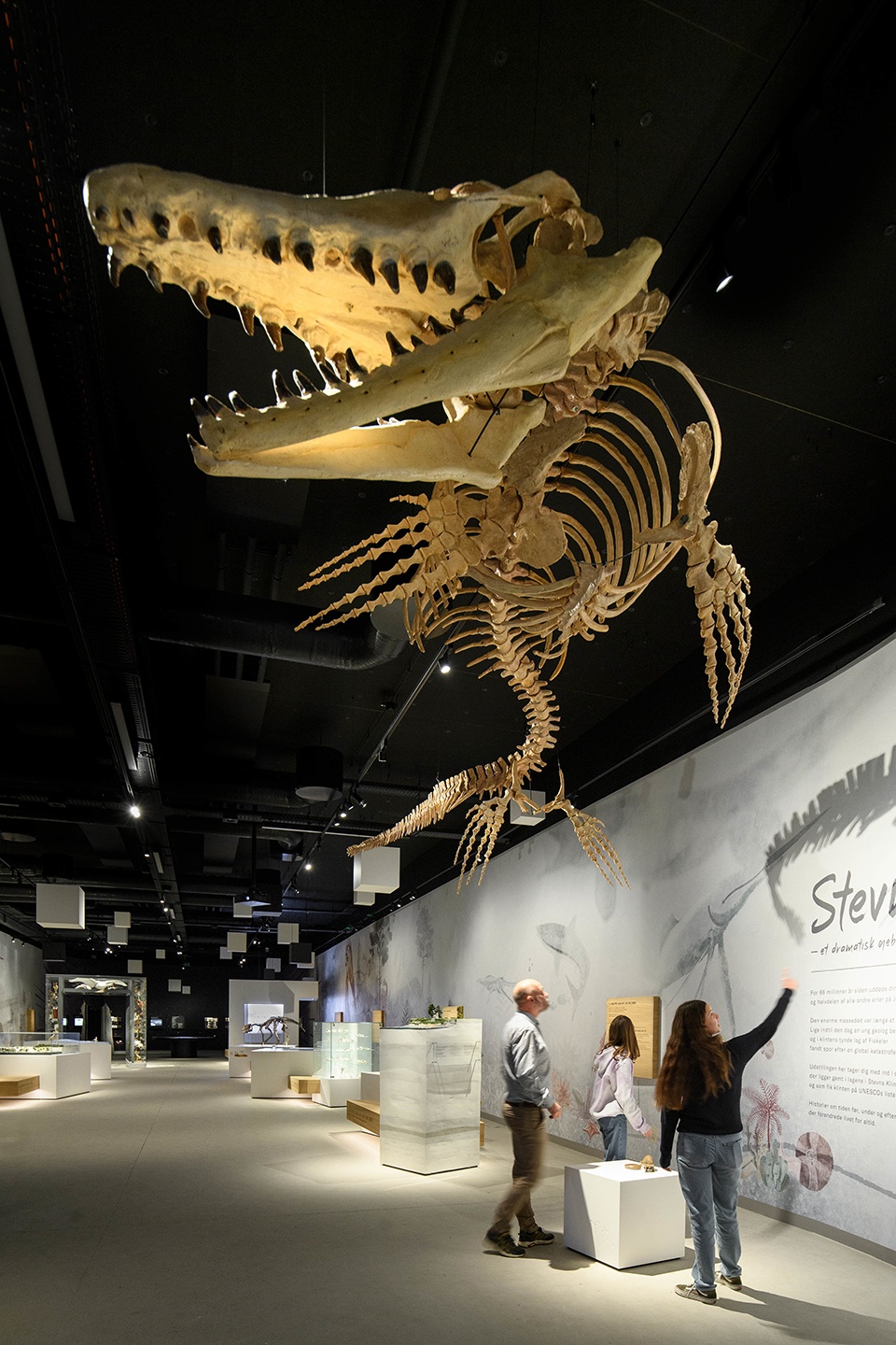 unesco world heritage site exhibition in denmark by tinker imagineers