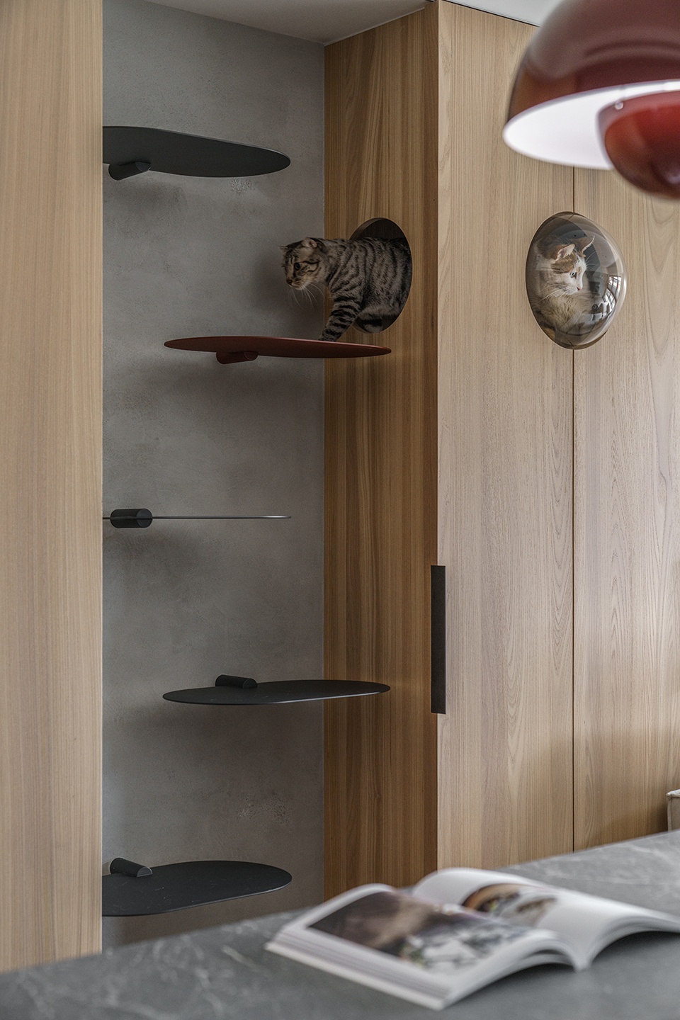 a path amongst cats residence by aoda interiordesign