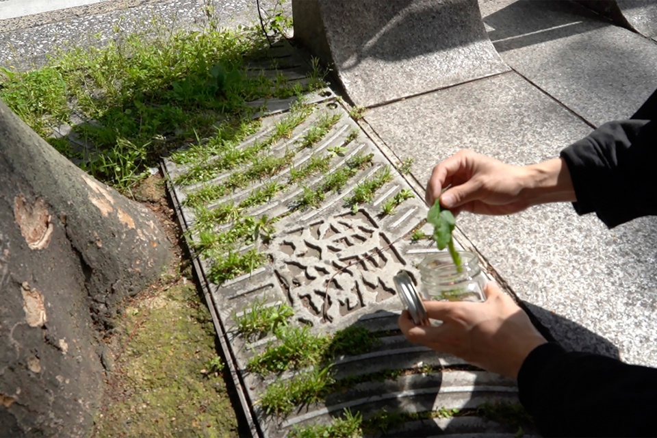 ginza ecological map by hakuten corporation