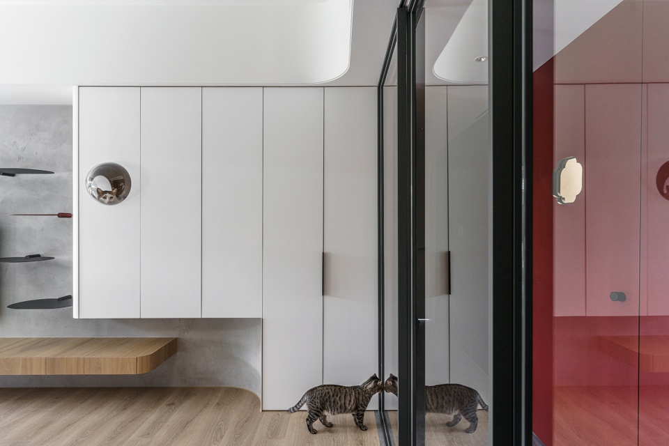 a path amongst cats residence by aoda interiordesign