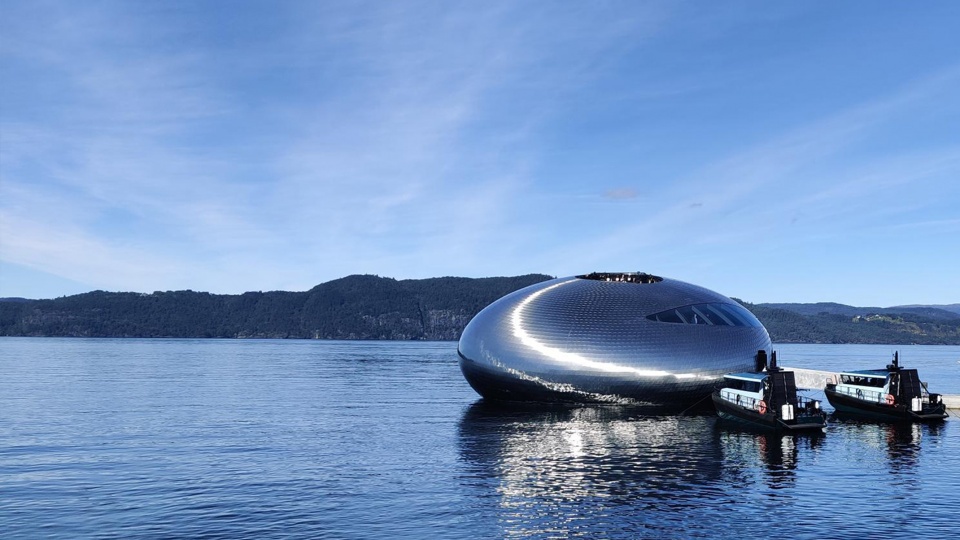 salmon eye by kvorning design
