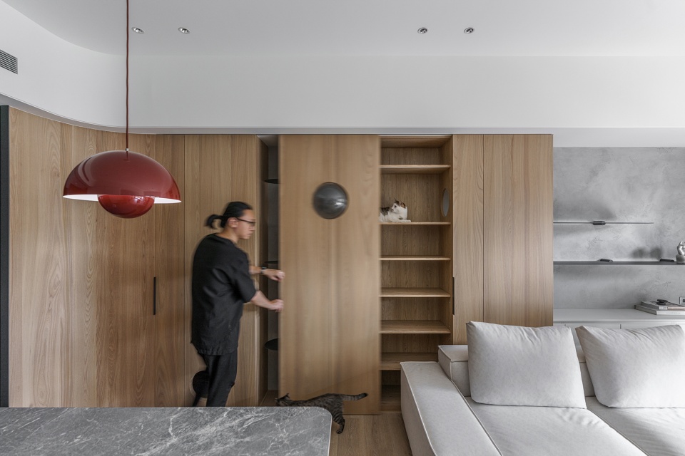 a path amongst cats residence by aoda interiordesign