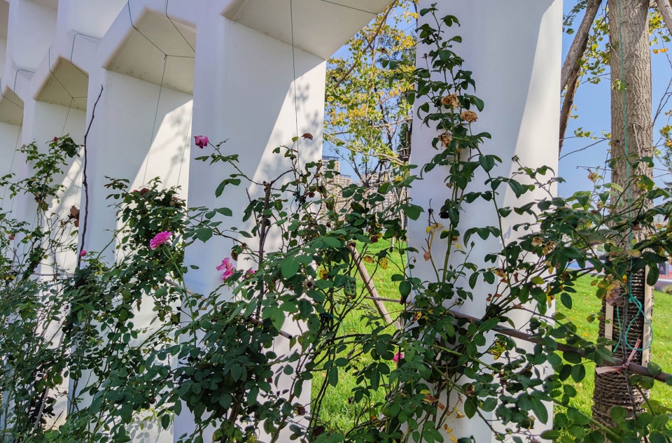LOHAS Garden China by Shanghai LDG Urban Landscape Design Grou 0ks