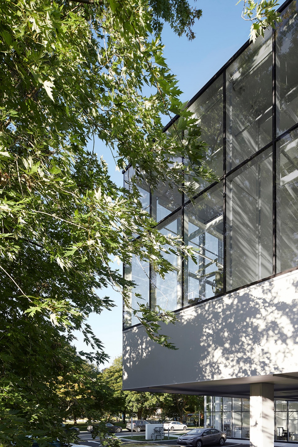 clinique dentaire by studio jean verville architectes