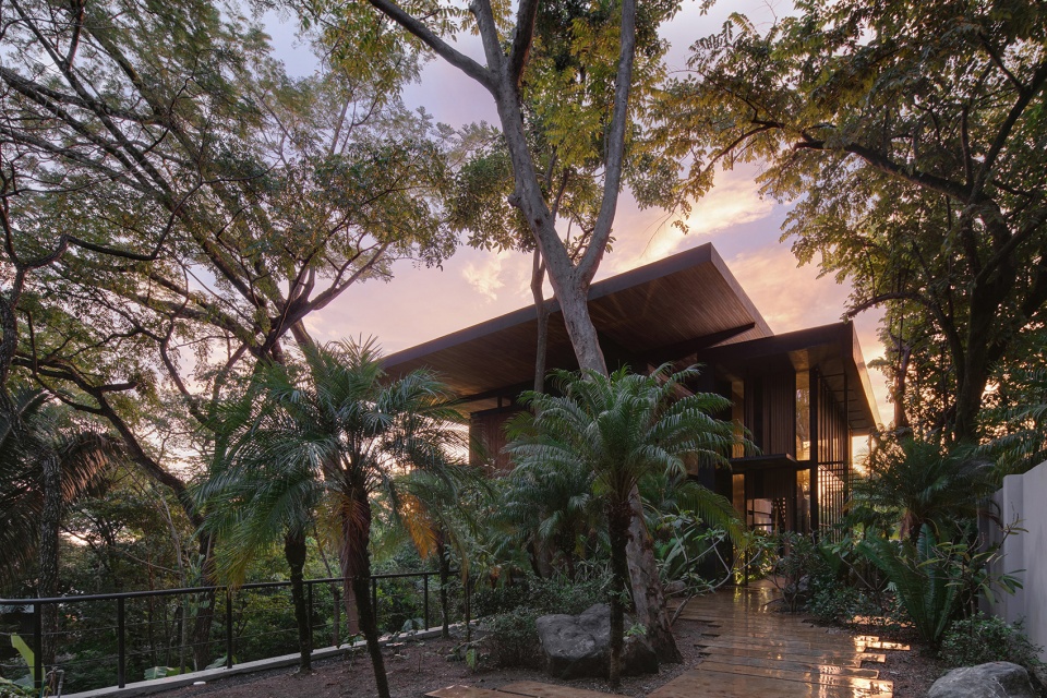Raintree House by Studio Saxe
