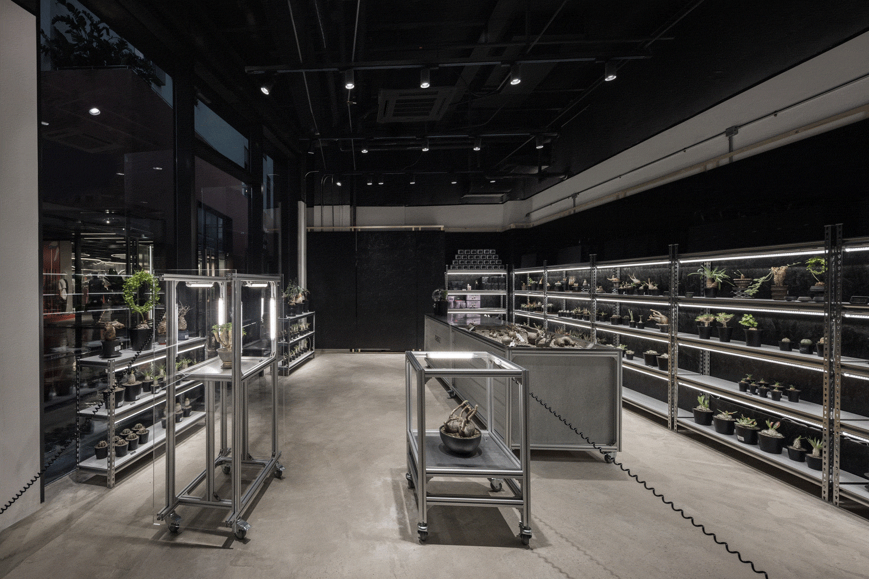 oasiz pop up store by ruhaus studio