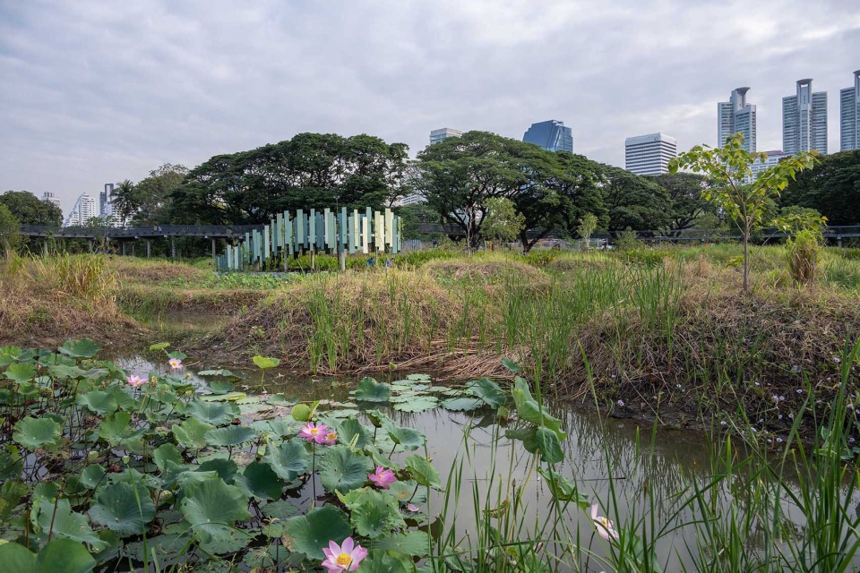 Benchakitti Rain Forest Observatory by HAS design and research