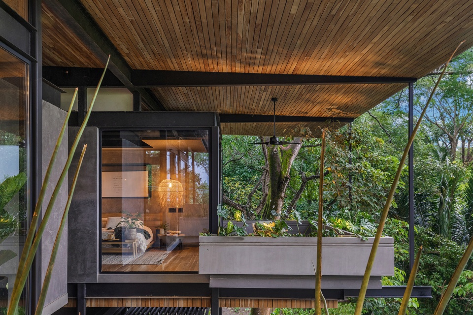 Raintree House by Studio Saxe