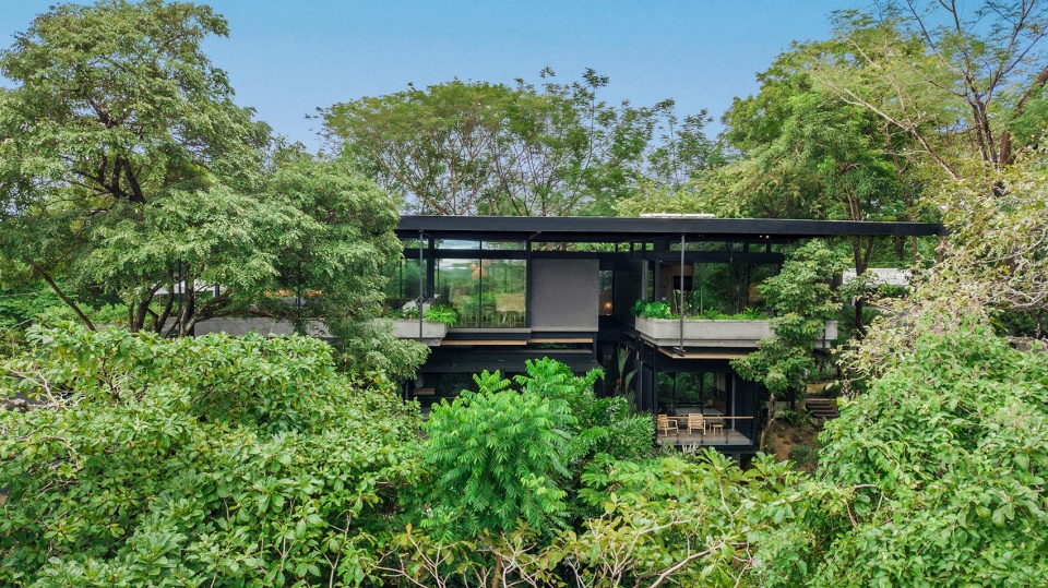 Raintree House by Studio Saxe