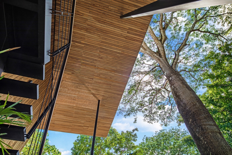Raintree House by Studio Saxe