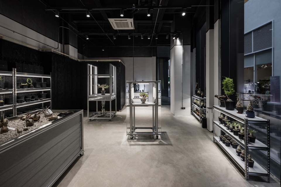 oasiz pop up store by ruhaus studio