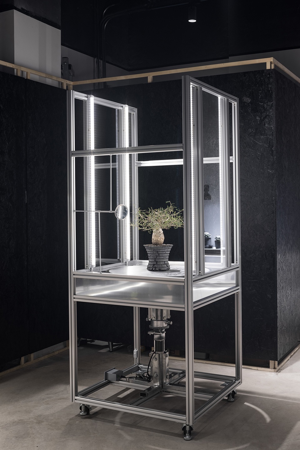 oasiz pop up store by ruhaus studio
