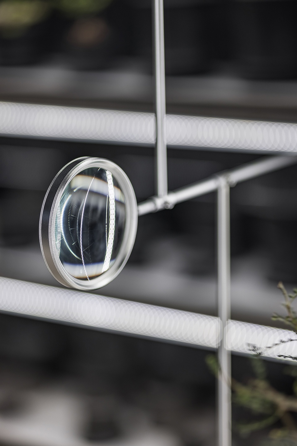 oasiz pop up store by ruhaus studio