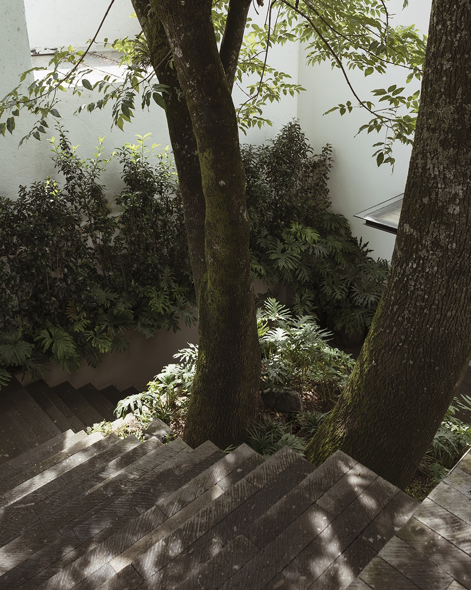 Casa Tres Arboles by dıreccıon