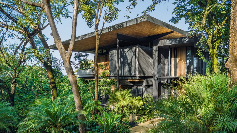 Raintree House by Studio Saxe