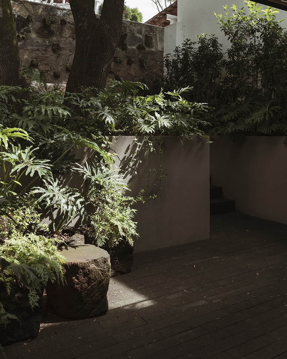 Casa Tres Arboles by dıreccıon