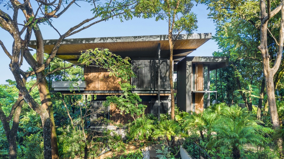 Raintree House by Studio Saxe
