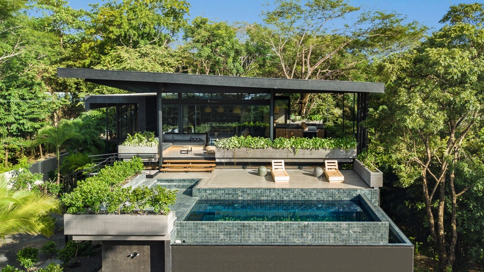 Raintree House by Studio Saxe