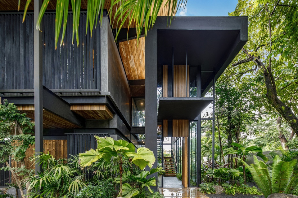 Raintree House by Studio Saxe