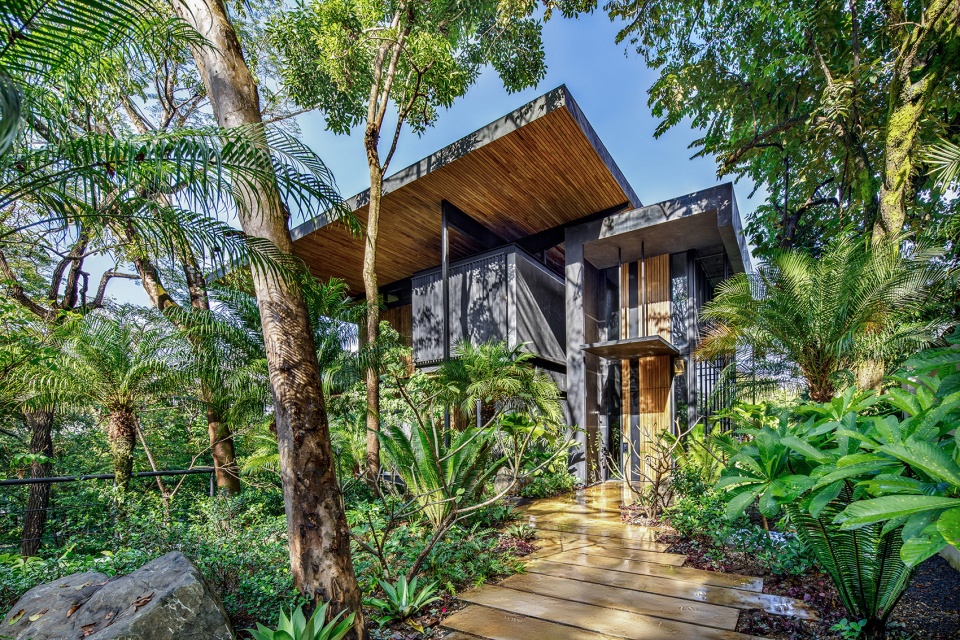 Raintree House by Studio Saxe