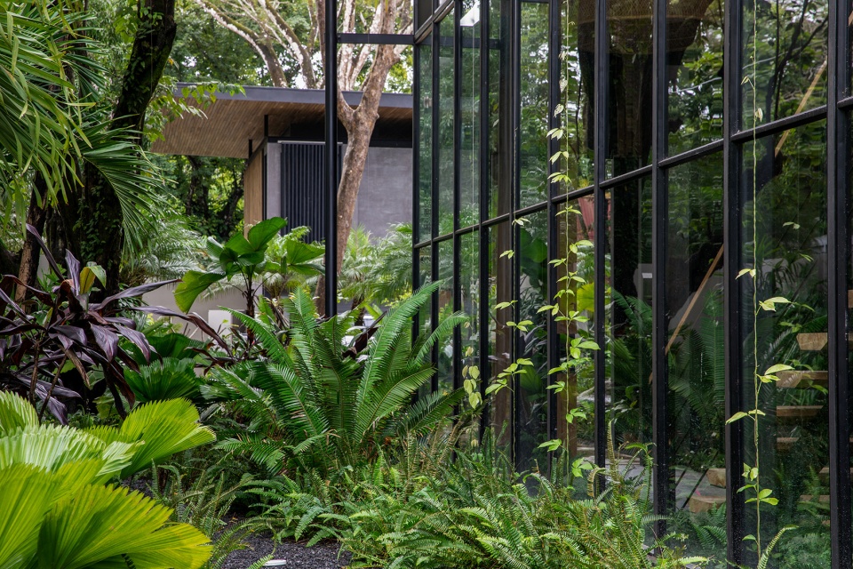 Raintree House by Studio Saxe