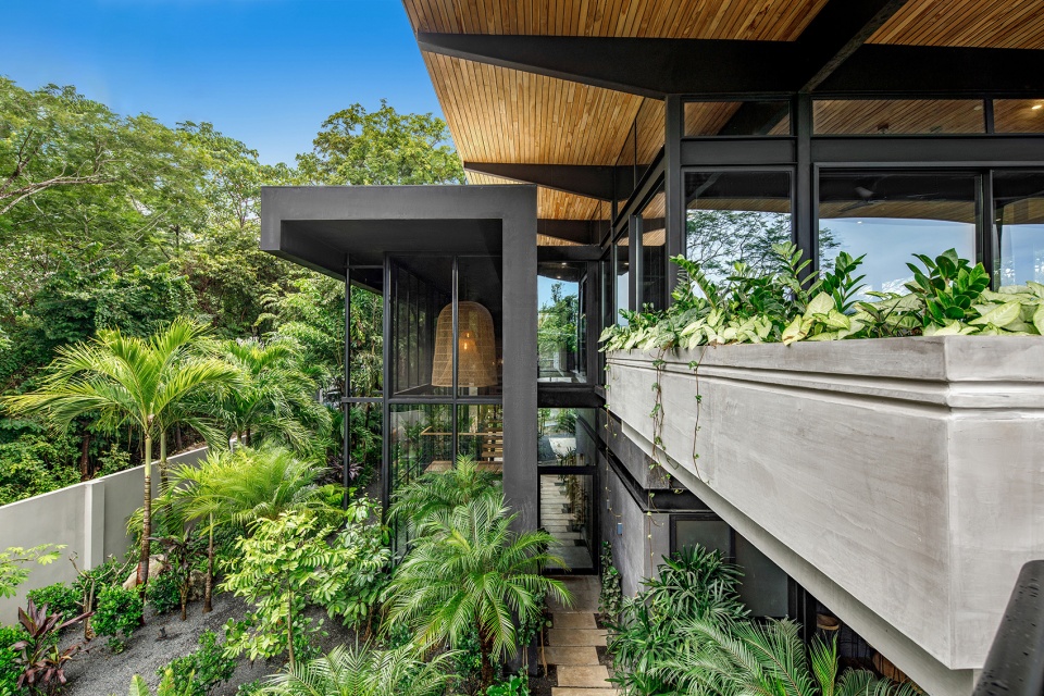 Raintree House by Studio Saxe