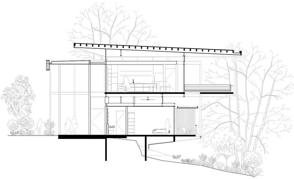 Raintree House by Studio Saxe 6hn