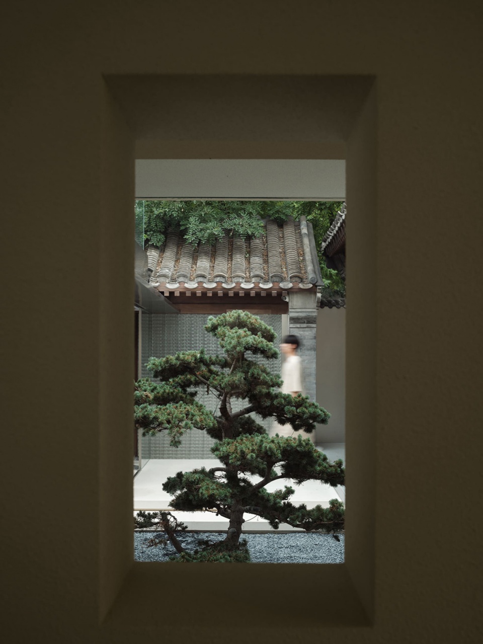 tosummer flagship guozijian st by fog architecture