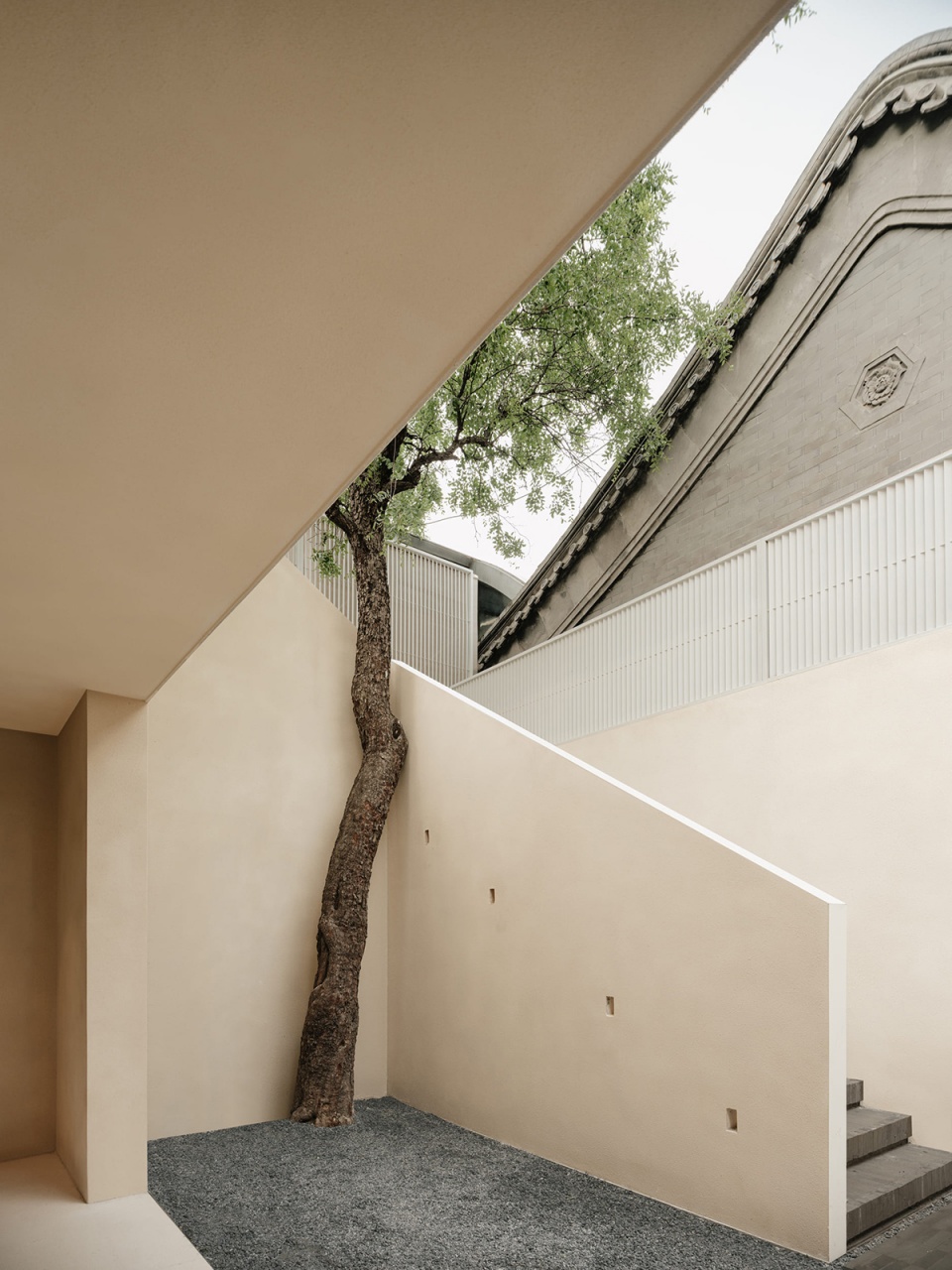 tosummer flagship guozijian st by fog architecture