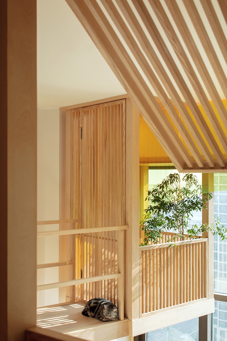 home for a girl and six cats residential unit design by jiejie studio