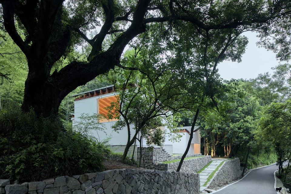 Reception on Three Terraces China by Continuation Studio