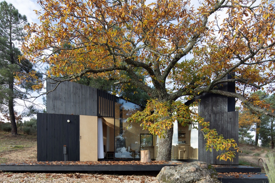 chestnut house by joao mendes ribeiro architect
