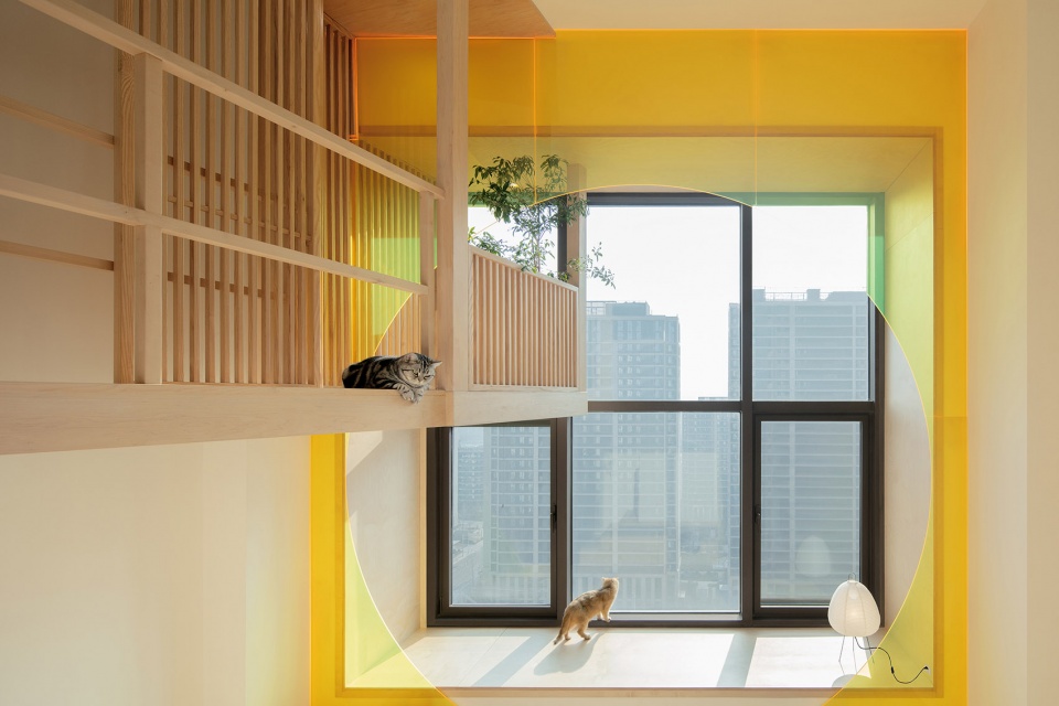 home for a girl and six cats residential unit design by jiejie studio