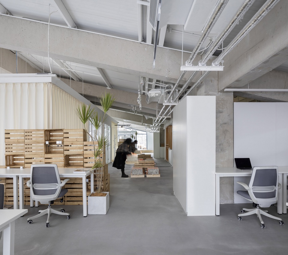 ollie workplace interior design by within beyond studio