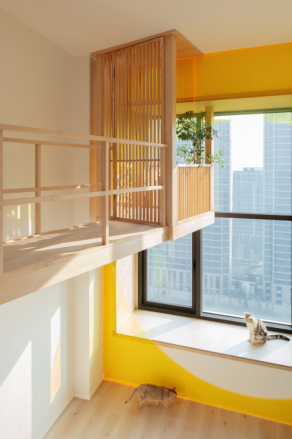 home for a girl and six cats residential unit design by jiejie studio