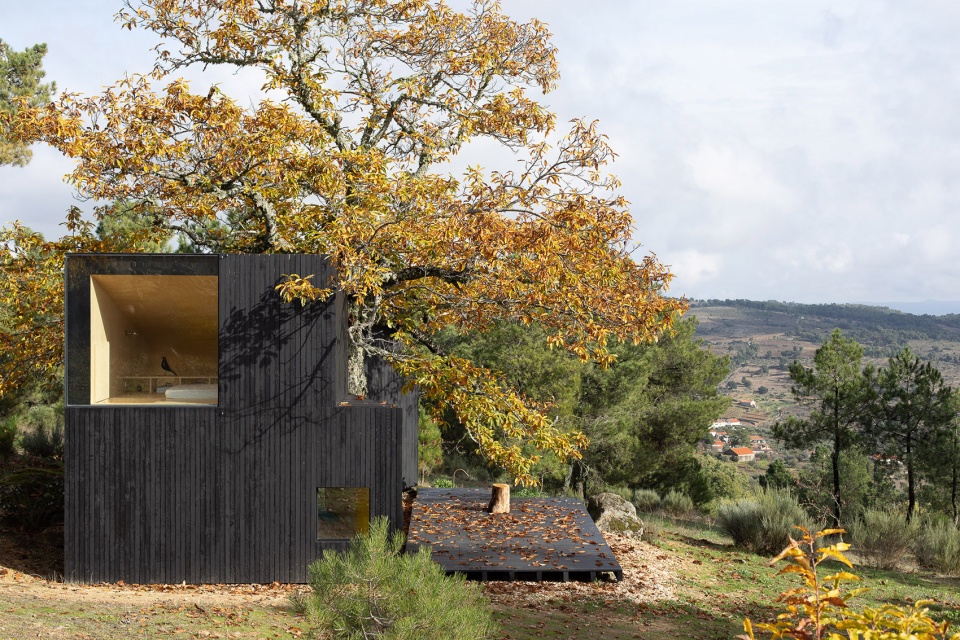 chestnut house by joao mendes ribeiro architect