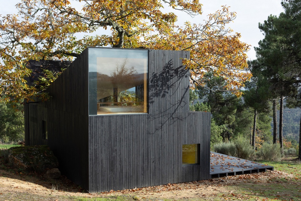 chestnut house by joao mendes ribeiro architect