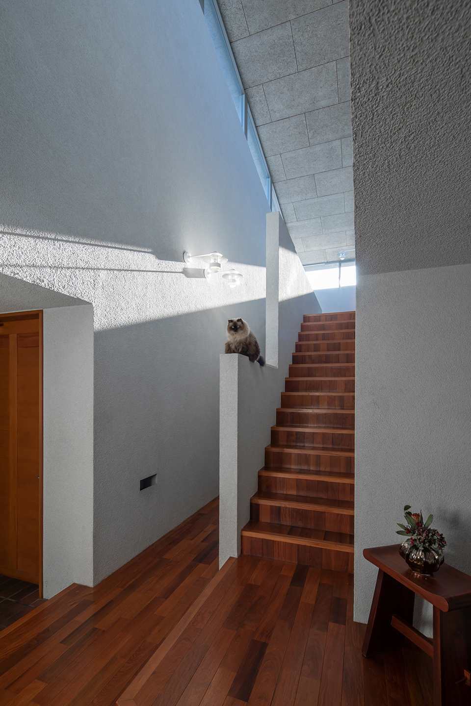 Leading House by FORM Kouichi Kimura Architects