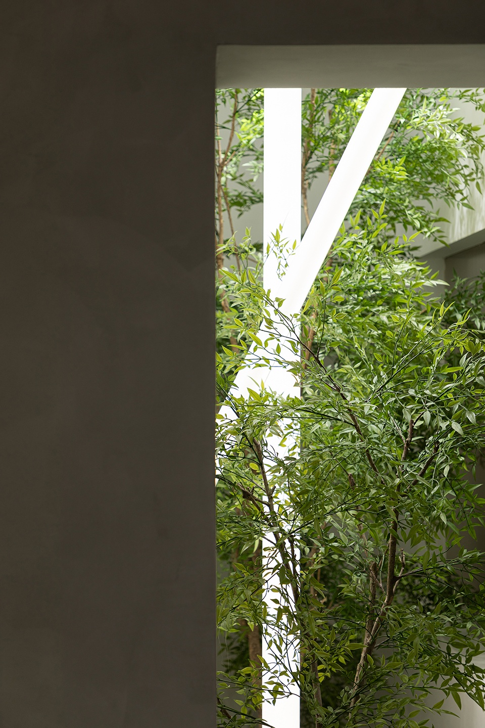 RAYONE STUDIO China by Qisi Design