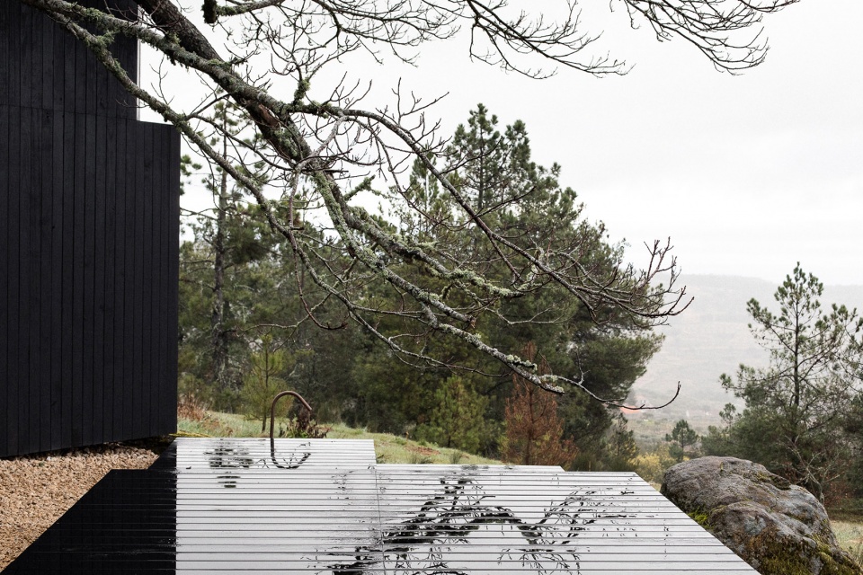 chestnut house by joao mendes ribeiro architect