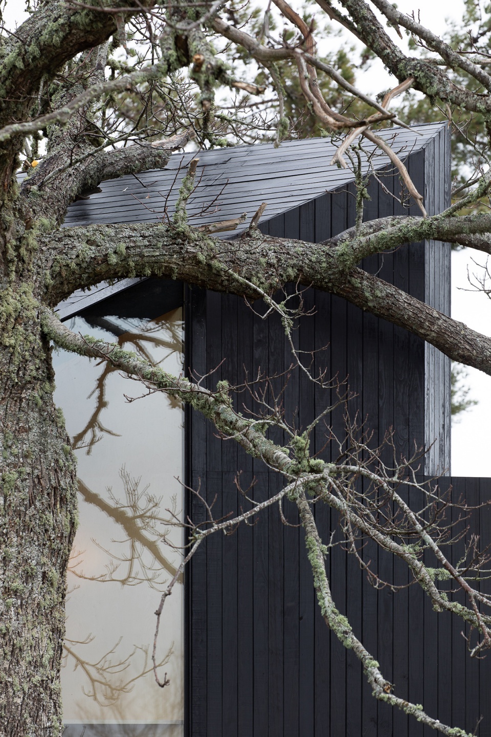 chestnut house by joao mendes ribeiro architect