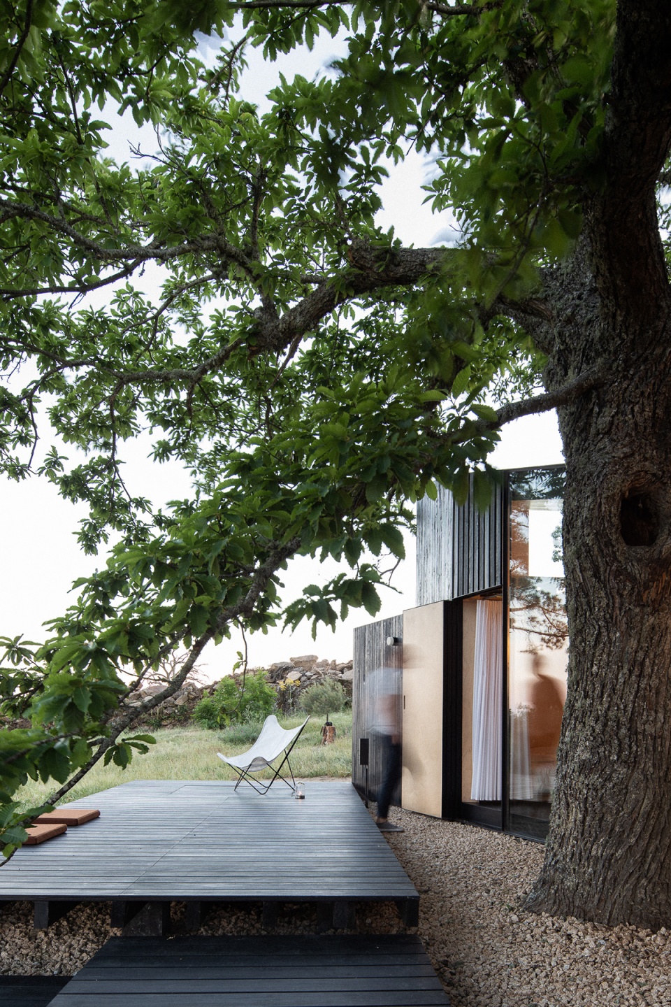 chestnut house by joao mendes ribeiro architect