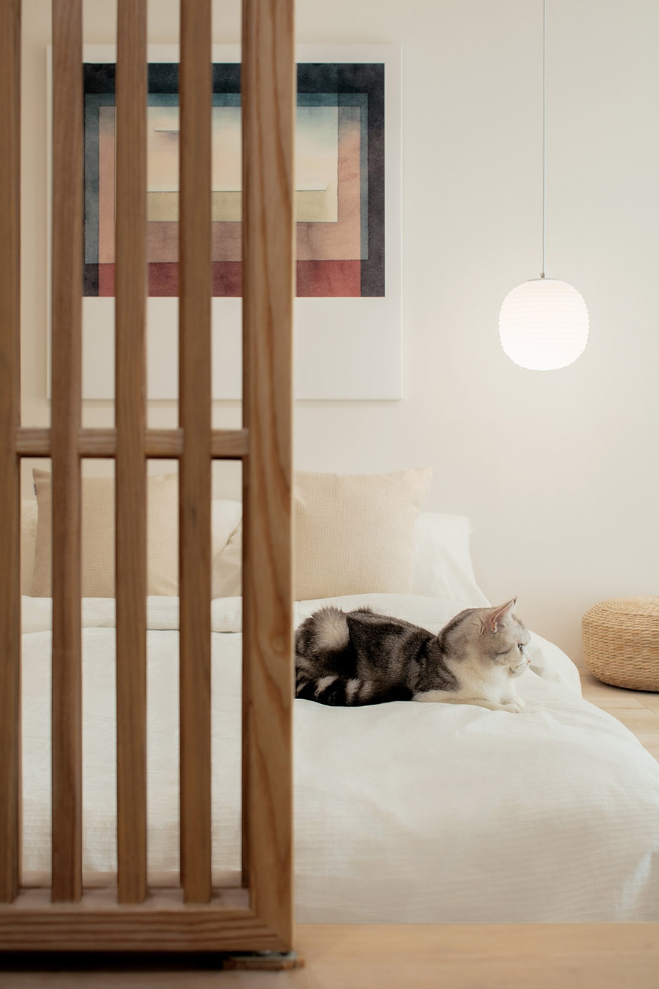 home for a girl and six cats residential unit design by jiejie studio