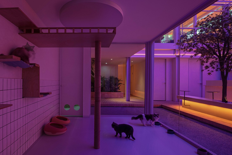 CARE PARTNER China by Yizhan Design