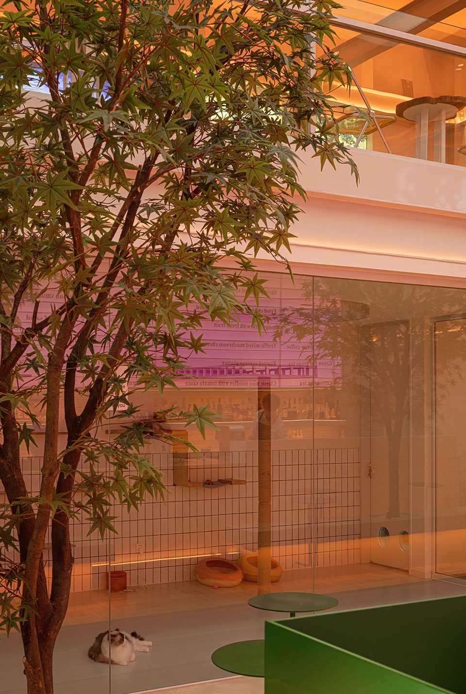 CARE PARTNER China by Yizhan Design