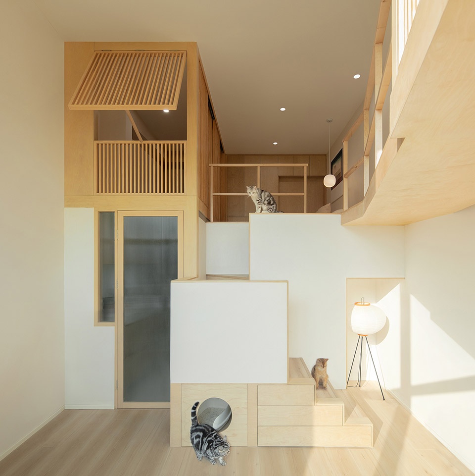 home for a girl and six cats residential unit design by jiejie studio
