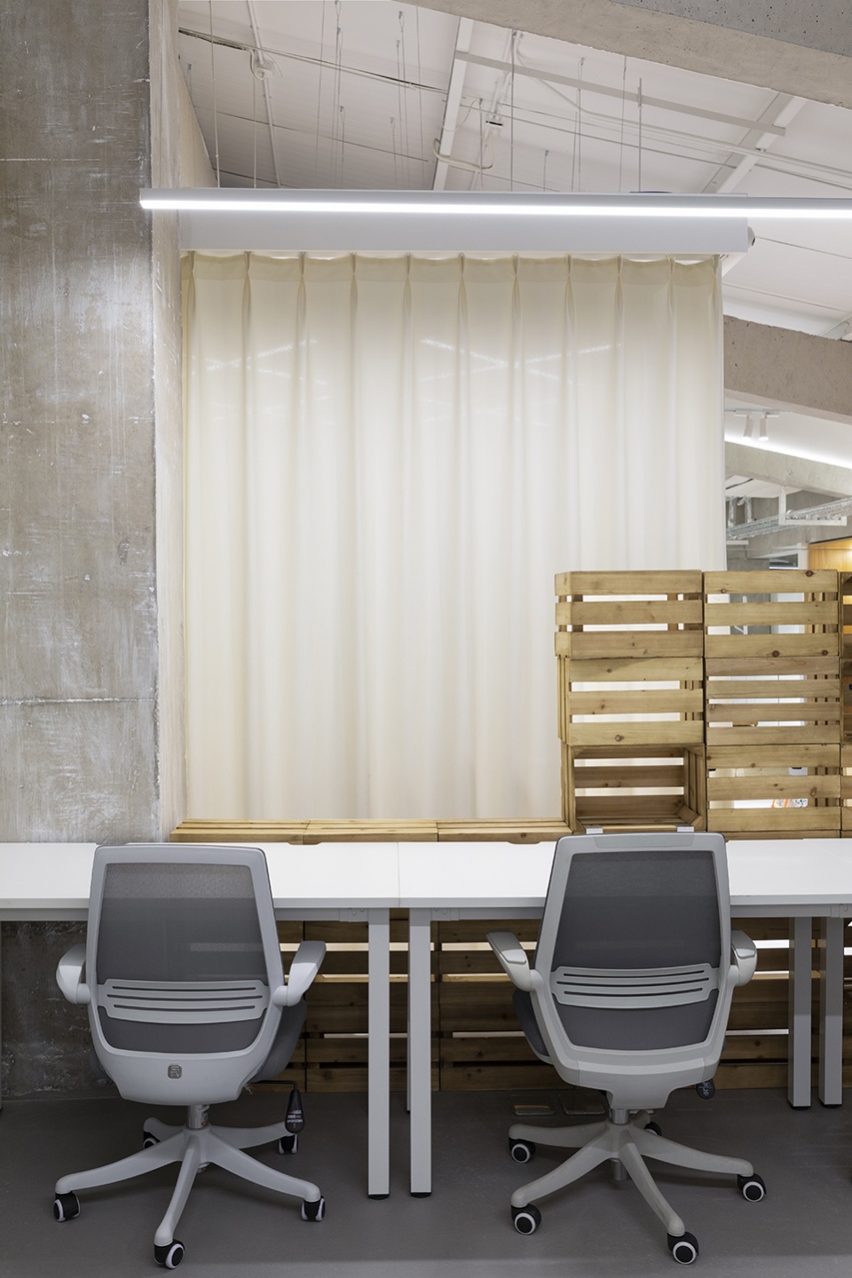 ollie workplace interior design by within beyond studio