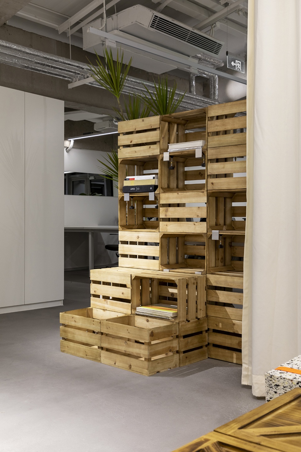 ollie workplace interior design by within beyond studio