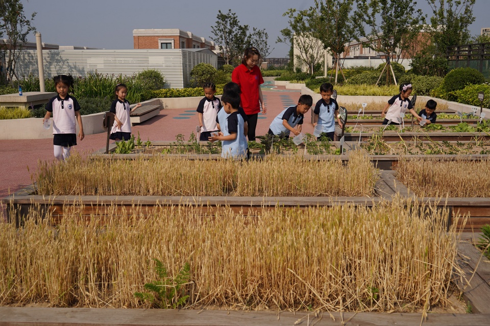 One Infinity Academy Kindergarten by Horizon Atmosphere Landscape