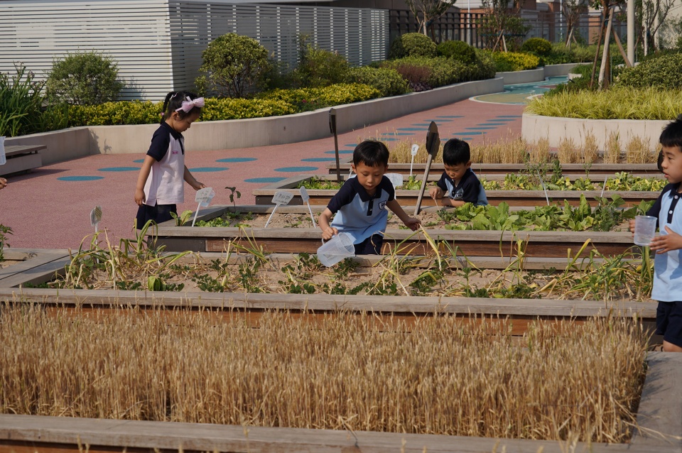 One Infinity Academy Kindergarten by Horizon Atmosphere Landscape